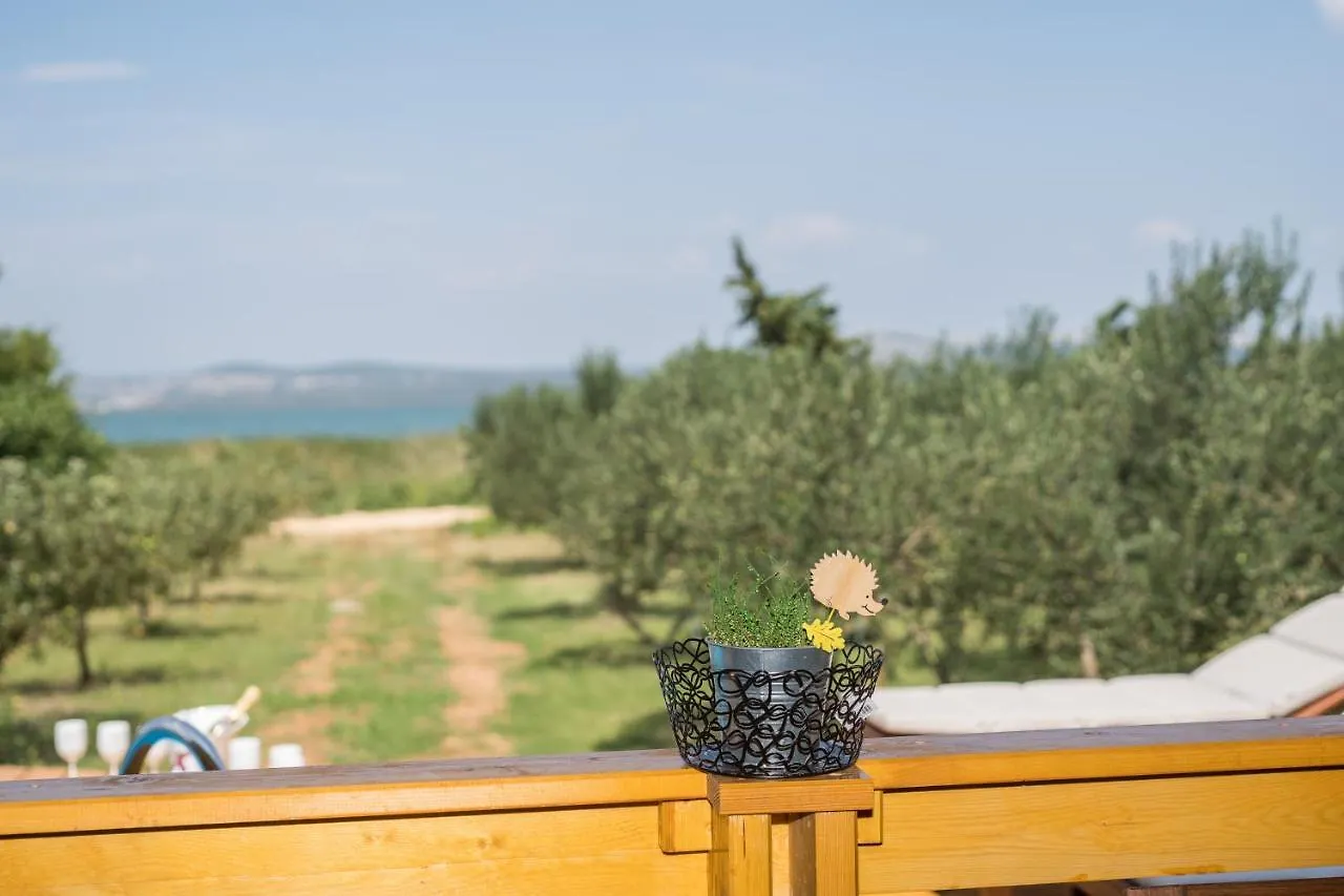 Villa Yvana Pakostane Croatia